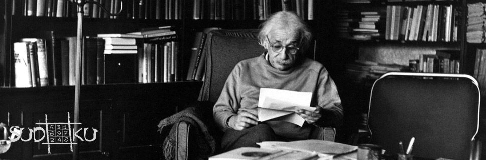 Einstein's riddle solution